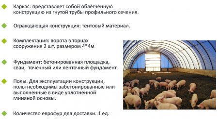 Свинарник ангар характеристики
