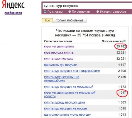 Статистика запроса купить кур несушек в Яндексе
